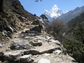 Гималайский дневник 2012